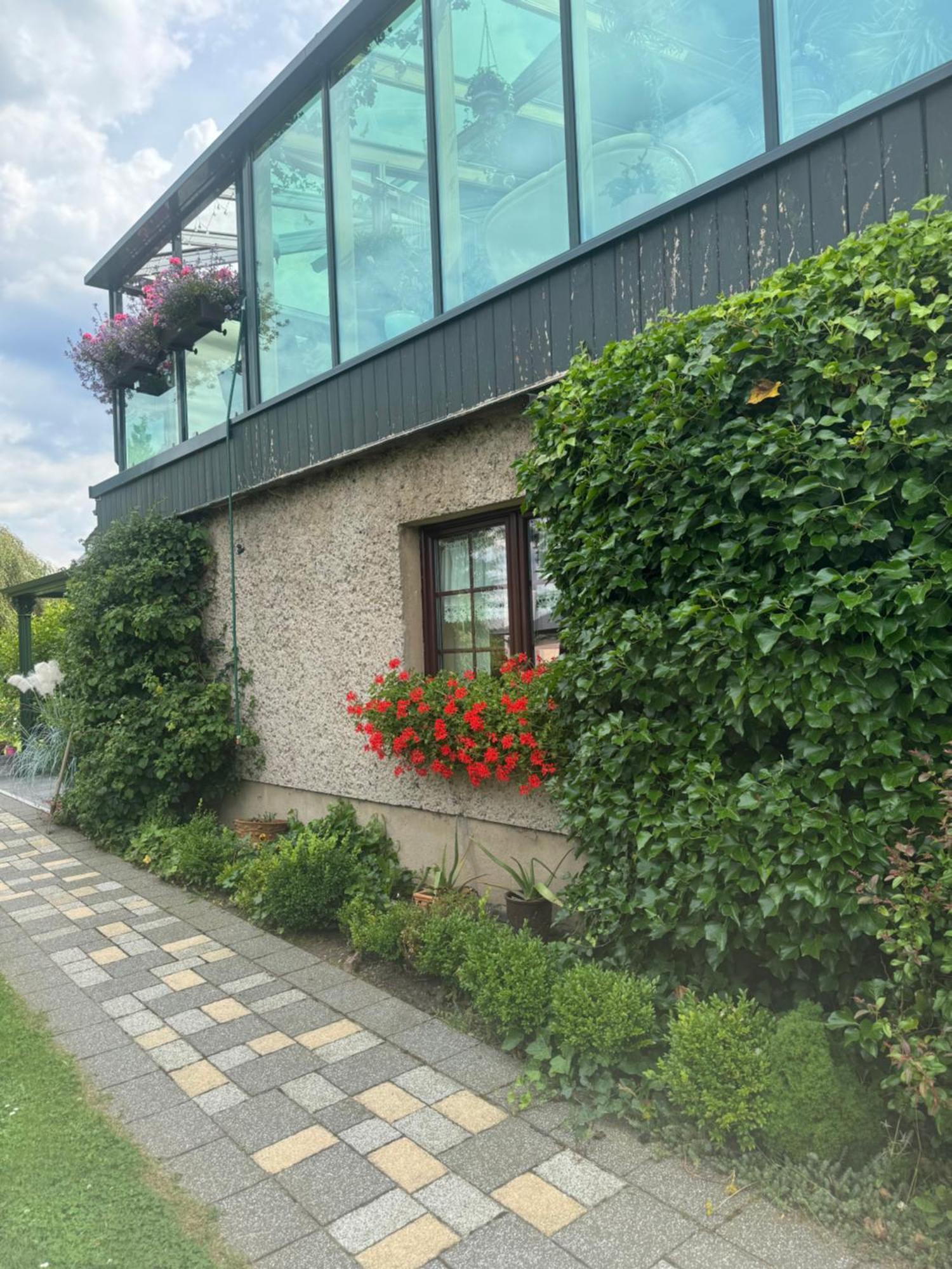 Ferienwohnung Hinterhermsdorf Glaser Sebnitz Ngoại thất bức ảnh
